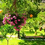 Likya Evleri (adults Only)
