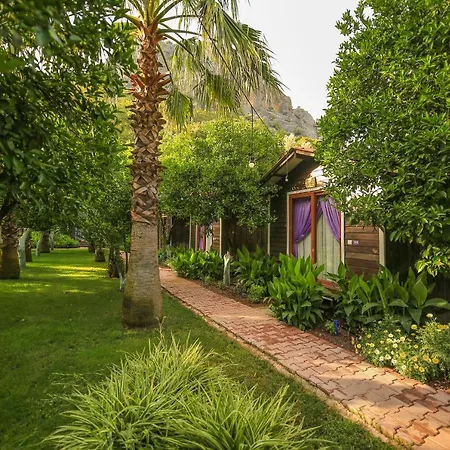 Likya Evleri (adults Only) * Olympos
