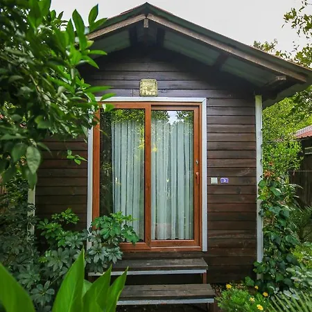 Likya Evleri (adults Only) Olympos