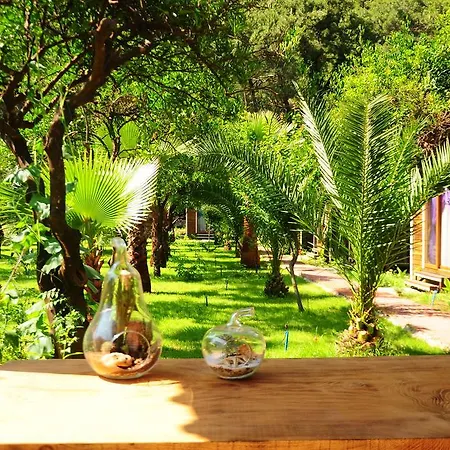 Country house Likya Evleri (adults Only)