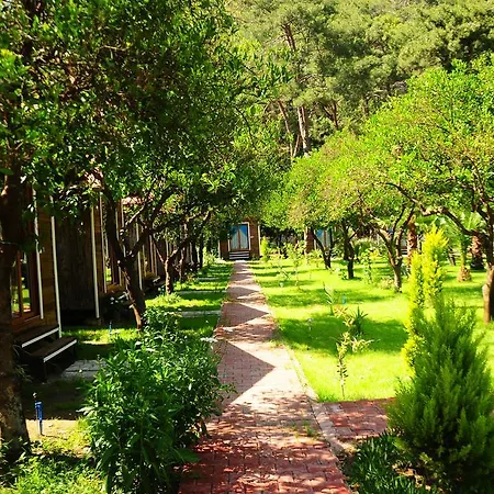 Likya Evleri (adults Only) * Olympos