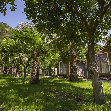 Gospodarstwo wiejskie Likya Evleri (adults Only) Olympos