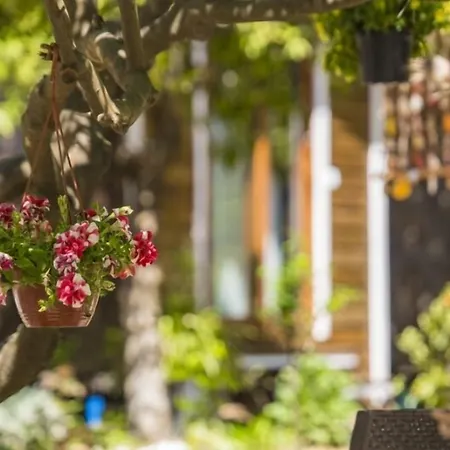 Casa rural Likya Evleri (adults Only)